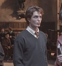 Cedric Diggory 
