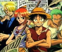 Straw hat Pirates
