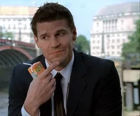 Seeley Booth - Bar