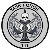 Task force 