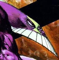 THE MAXX