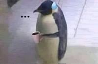 Penguin