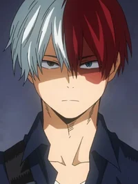 Shoto Todoroki 