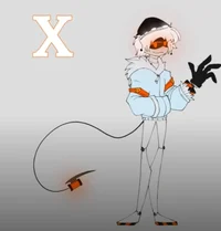 Cerial designition X