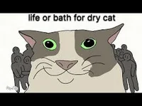Life or Bath