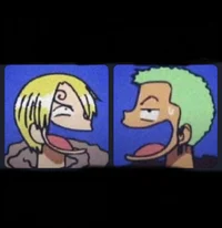 Zoro and Sanji