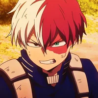 Shoto Todoroki 