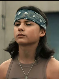 Robin tc