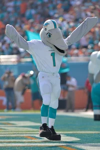 TD Dolphin