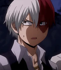 Shoto Todoroki 