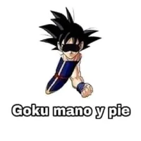 Goku mano pie