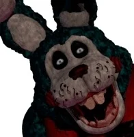 Night toy bonnie