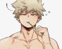 Bakugo Katsuki