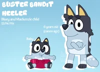 Buster bandit Heeler