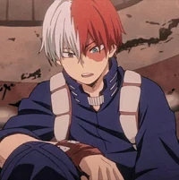 Shoto Todoroki