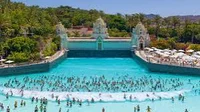 Wave pool