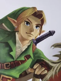 oot - adult link