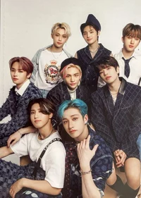 Stray kids 