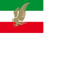 Miravjian Airlines 