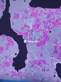 Exponential M School