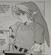 oot - adult link