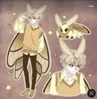 Moth boy
