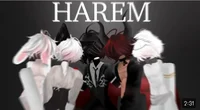 Harem 