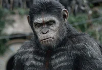 planet of the apes f