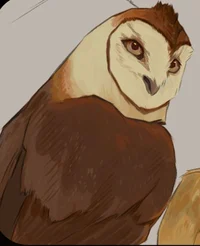 KluddOwl
