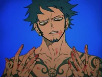 Law