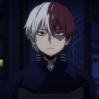 Shoto Todoroki 