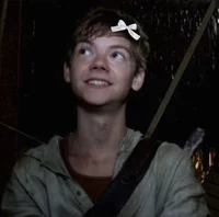 Newt - TMR