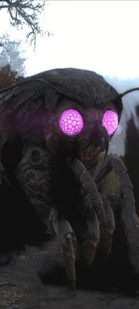 The wise mothman