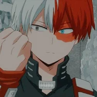 Shoto Todoroki 