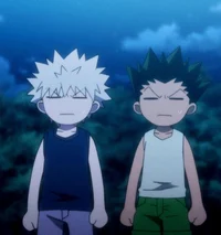 Gon and Killua