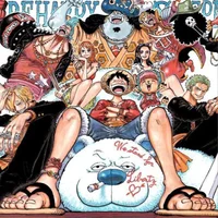 OP Straw hats 
