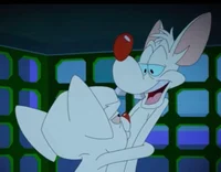 Brinky RP -Brain POV