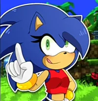 Sonica The Hedgehog 