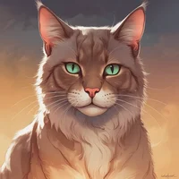 Warrior cats book