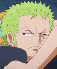 Zoro Roronoa 
