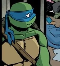 IDW Leonardo 