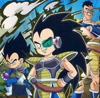 Vegeta-Raditz-Nappa