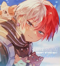Shoto Todoroki 