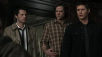 Team Free Will