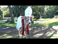 One piece quote make