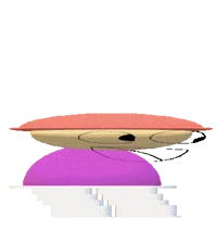 The Cockaldoodledoos