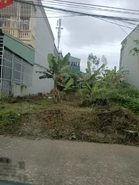 Chat gbt Specialized