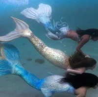mermaids
