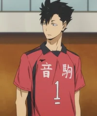 Tetsuro Kuroo 