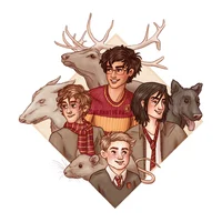 The Marauders 